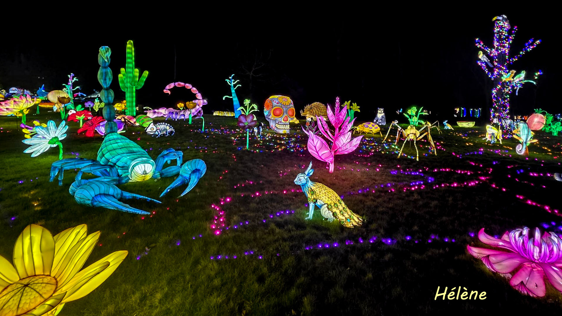 THOIRY -Illumination ,  Lumières sauvages 2025-2026